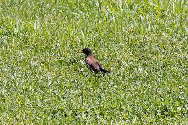 Ballade dans Samarcande-005